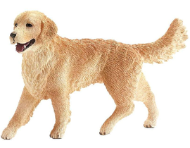 Golden Retriever Hembra 