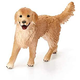 Golden Retriever Hembra 