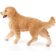 Golden Retriever Hembra 