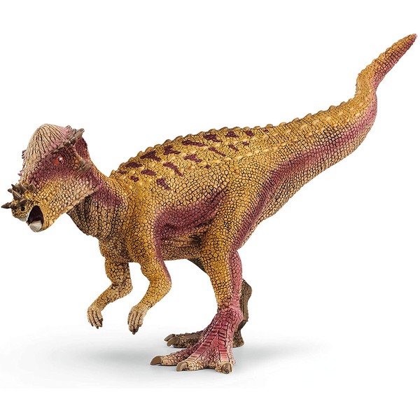 PACHYCEPHALOSAURUS 