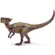 Dracorex 